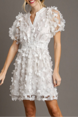 Butterfly Organza Mini Dress