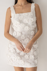 Embroidered Lace Mini Dress