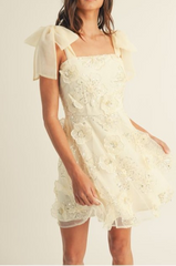 Ada Embroidered Mini Dress