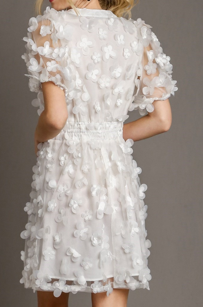Butterfly Organza Mini Dress