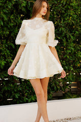 Dani Embroidered Floral Mini Dress