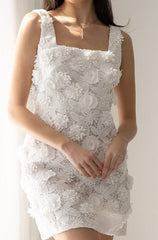 Embroidered Lace Mini Dress