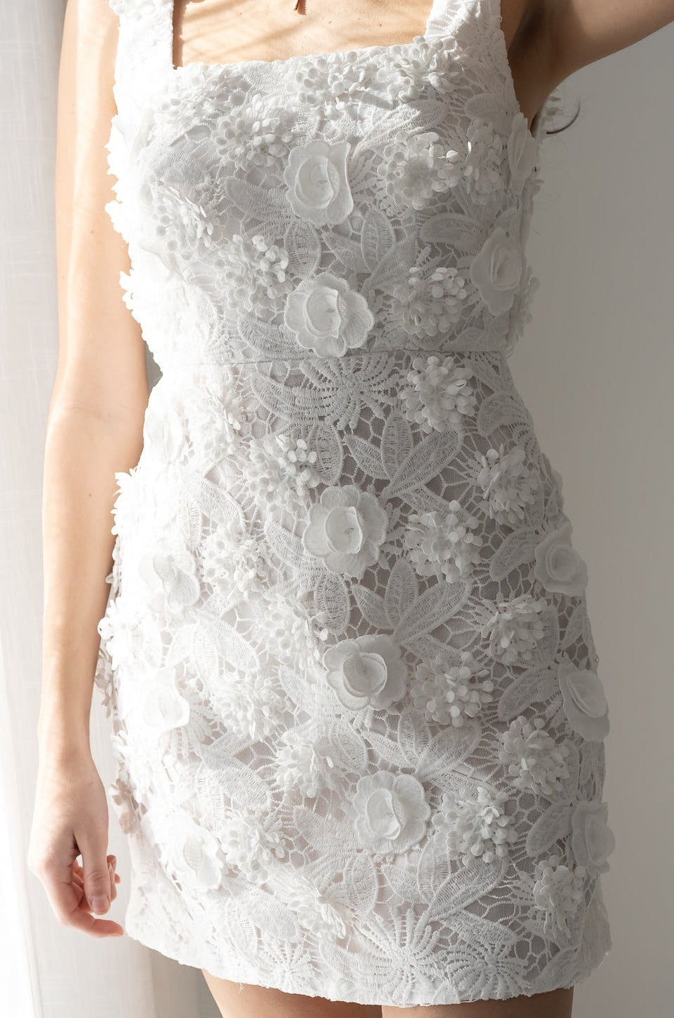 Embroidered Lace Mini Dress