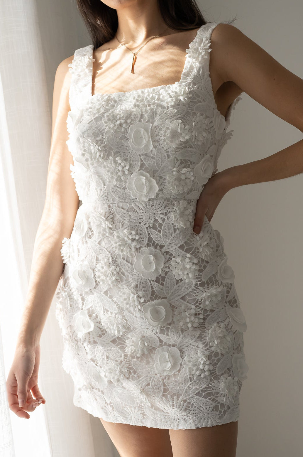 Embroidered Lace Mini Dress