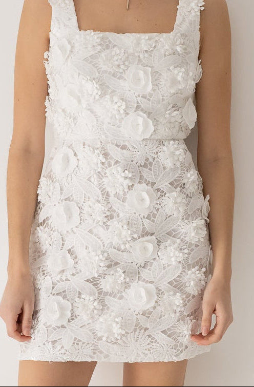 Embroidered Lace Mini Dress