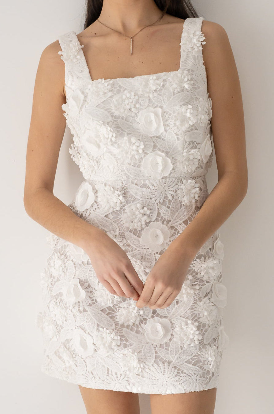 Embroidered Lace Mini Dress